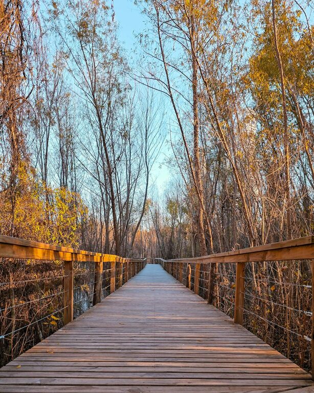 Beginner Guide to Mindful Walking: Steps to Calm and Focus